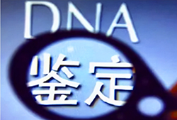 哈尔滨人民医院亲子鉴定预约流程，哈尔滨权威DNA亲子鉴定医院在哪里