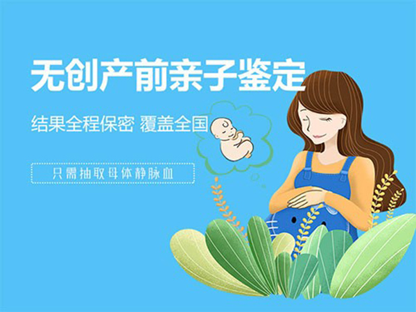 哈尔滨胎儿亲子鉴定详细流程,哈尔滨孕期亲子鉴定费用