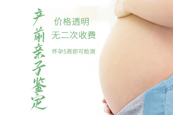 哈尔滨胎儿亲子鉴定详细流程,哈尔滨孕期亲子鉴定费用