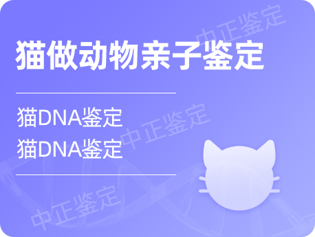 哈尔滨猫做动物亲子鉴定